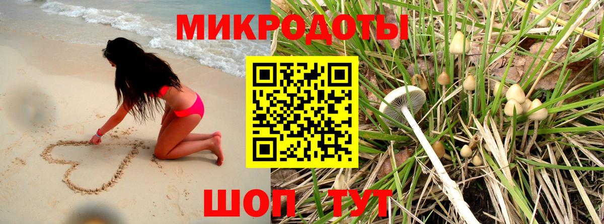 Галлюциногенные грибы прущие грибы  Вход с VPN  Псилоцибиновые грибы Psilocybine cubensis  Новокуйбышевск 